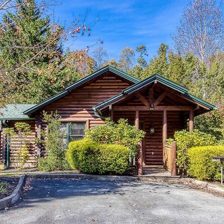 Dog Friendly, Romantic Mtn Getaway Hot Tub Pool Gatlinburg Exterior photo