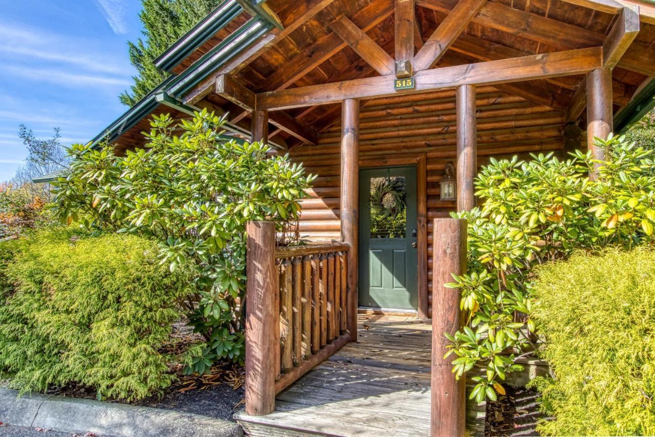 Dog Friendly, Romantic Mtn Getaway Hot Tub Pool Gatlinburg Exterior photo