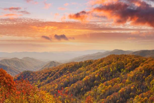 Dog Friendly, Romantic Mtn Getaway Hot Tub Pool Gatlinburg Exterior photo